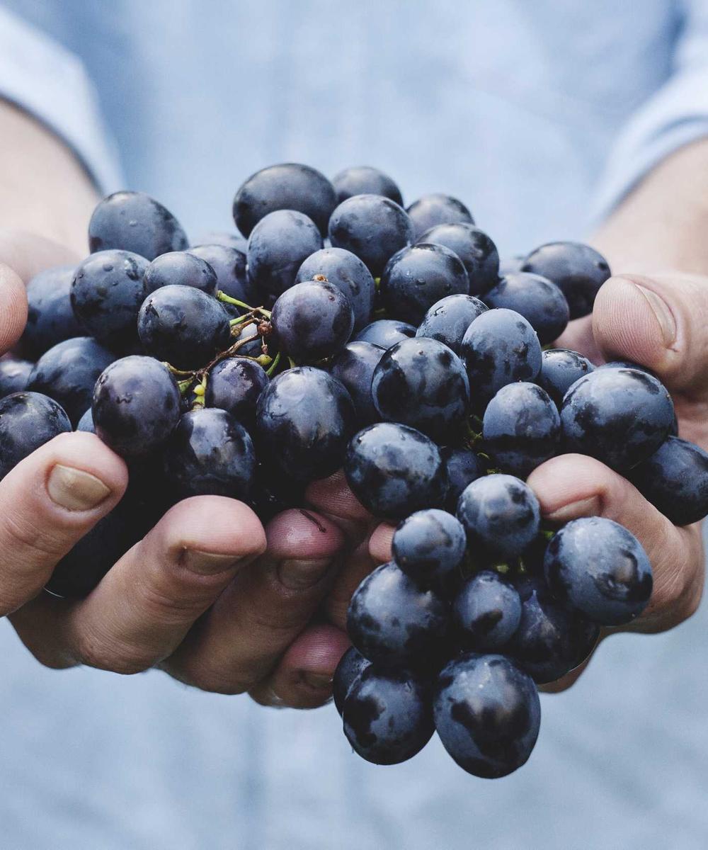 Editorial Fashion Shot