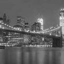 Sound Healer Profile