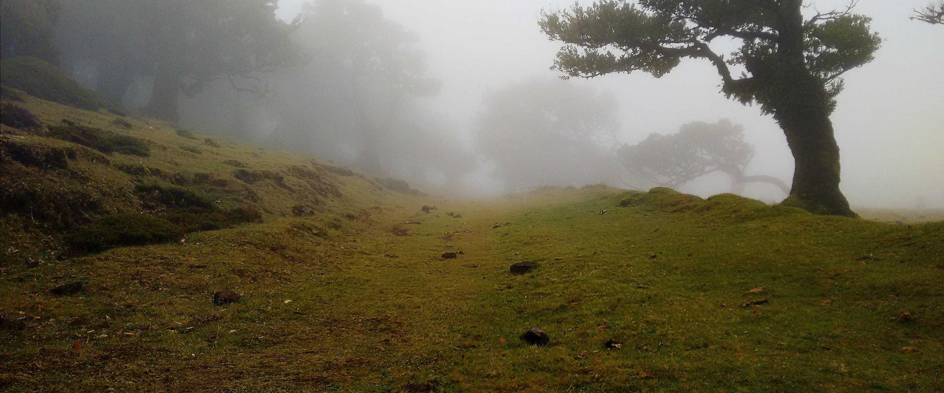 Laboratory Chic 2026 Lookbook