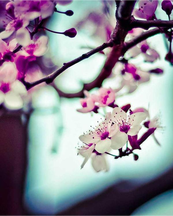 Louis Vuitton Vanity