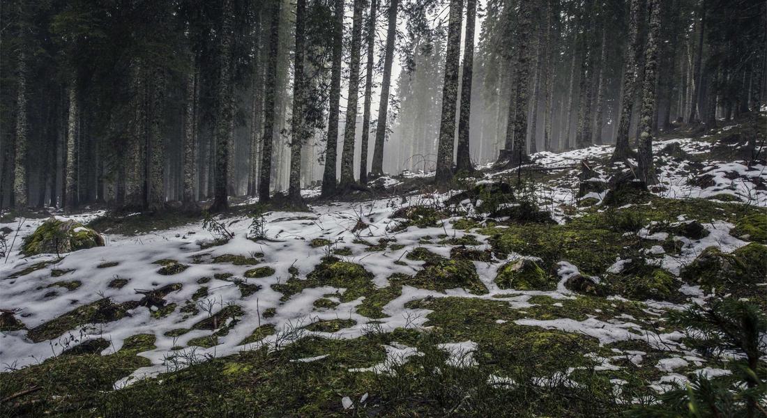 Man with luxury beard