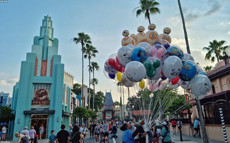 Cổng bóng Organic Garland