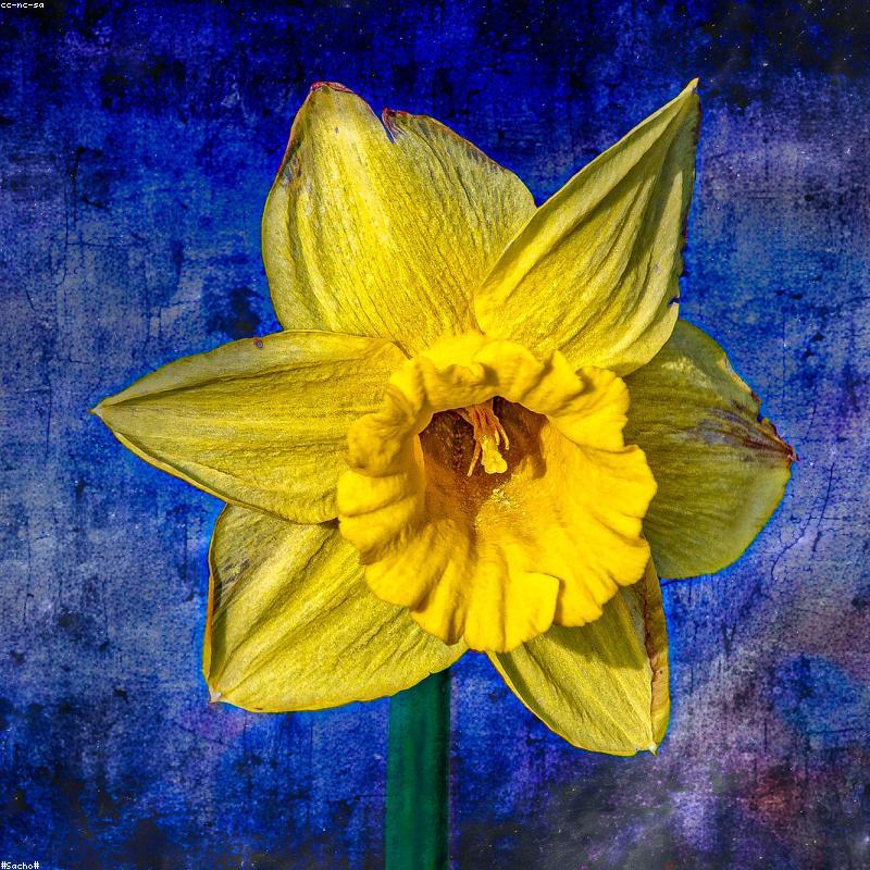 Chi tiết bề mặt gốm thủ công