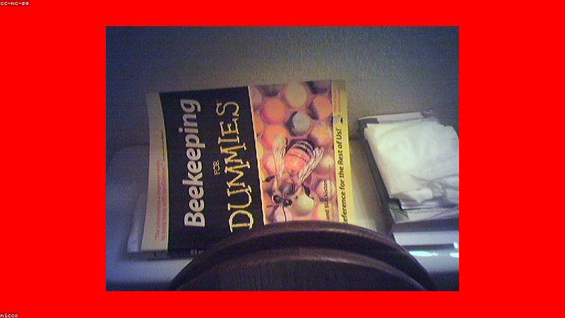 Khai thác mật ong rừng bền vững