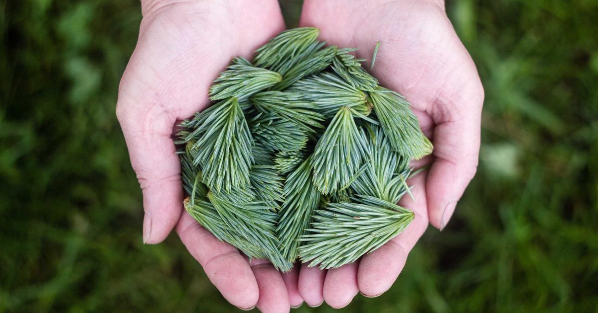 Hướng dẫn chi tiết quy trình tầm soát và điều trị các bệnh phụ khoa thường gặp ở phụ nữ