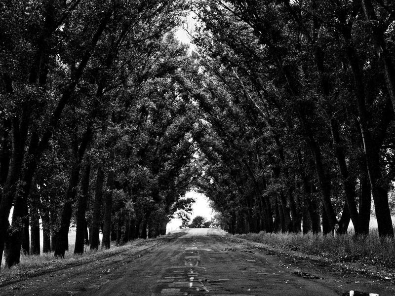 Amigurumi Personalization 2026