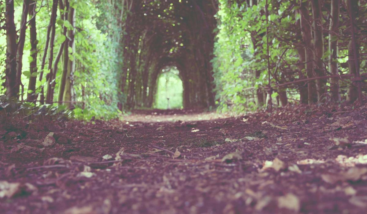 Chandelier and Persian Rug