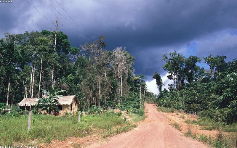 Sự thân thiện môi trường của nến thiên nhiên