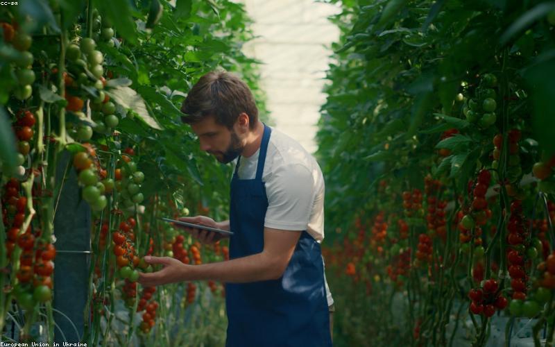 Data Synthesis and Analysis