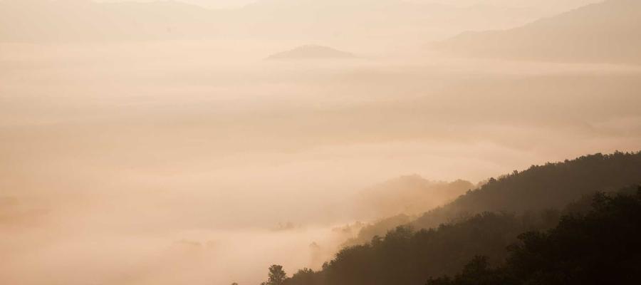 Phát triển bền vững