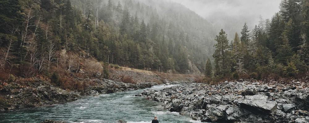 Vật liệu thay thế khớp háng công nghệ cao