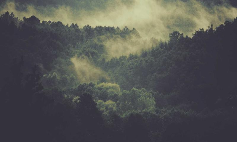 Parent-child bonding through slime