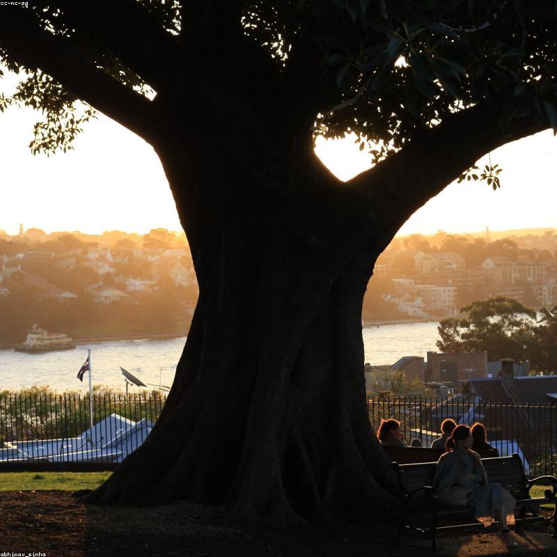 Bộ Dây Đai Vali & Thẻ Tên TravelBiz Secure