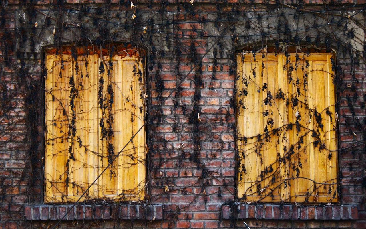 Bộ sưu tập Lotus Lounge - Sofa sống