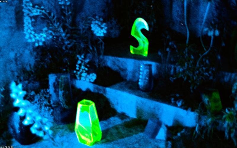 Kỹ thuật cắt tỉa hoa chuyên nghiệp