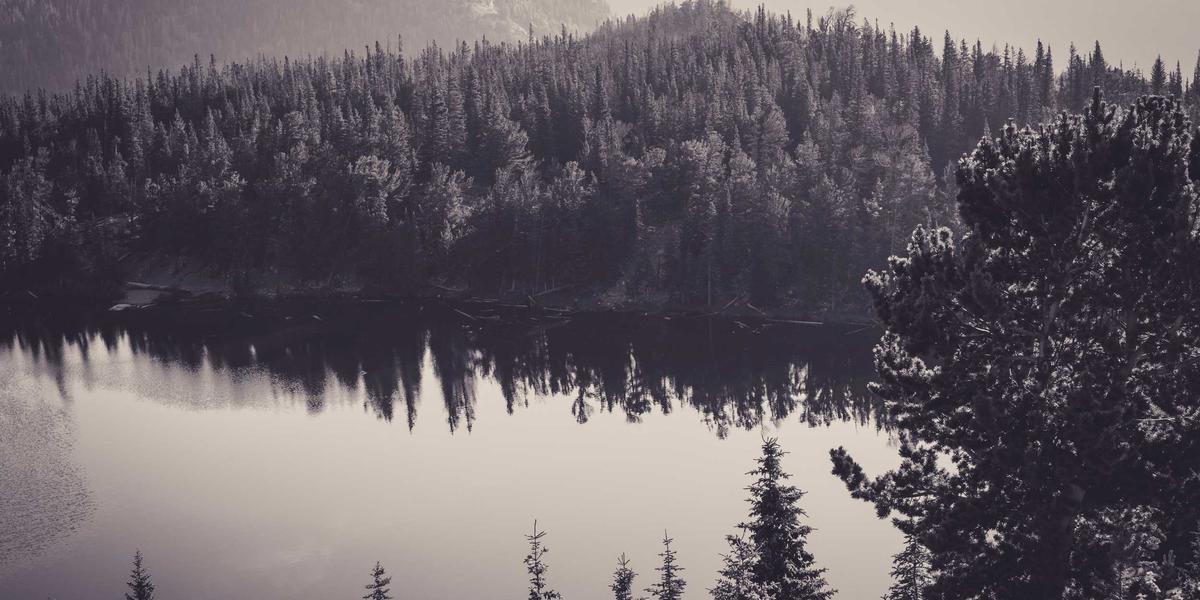 Final Suit Review 2026