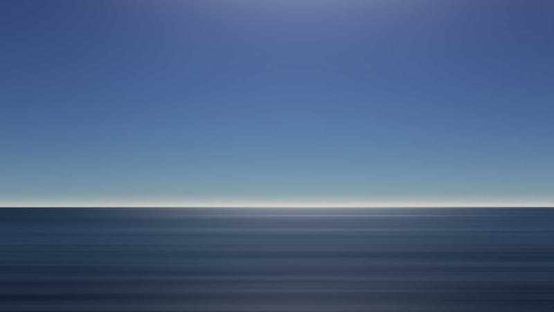 Quy trình chải lông chuyên nghiệp