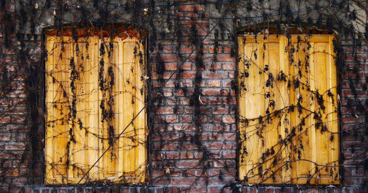 Hà Nội và TP.HCM đặt mục tiêu thêm 10.000 ha mảng xanh đến năm 2025: Nỗ lực giảm 3 độ C nhiệt độ đô thị