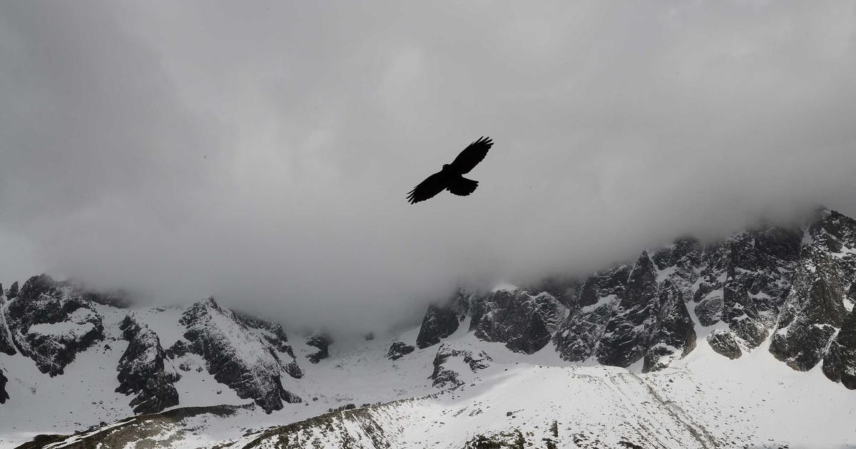 Hướng dẫn 5 bước sở hữu website chuyên nghiệp với giải pháp thiết kế website AI của hihi