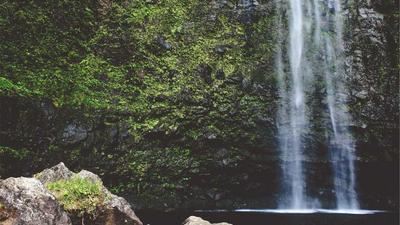 Cà Phê Địa Tầng