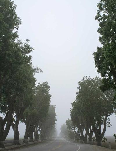 Risk Assessment cho Global collab