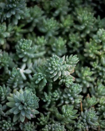 Tech-enabled nail studio