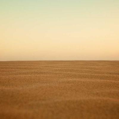 Bảng tương tác 2026