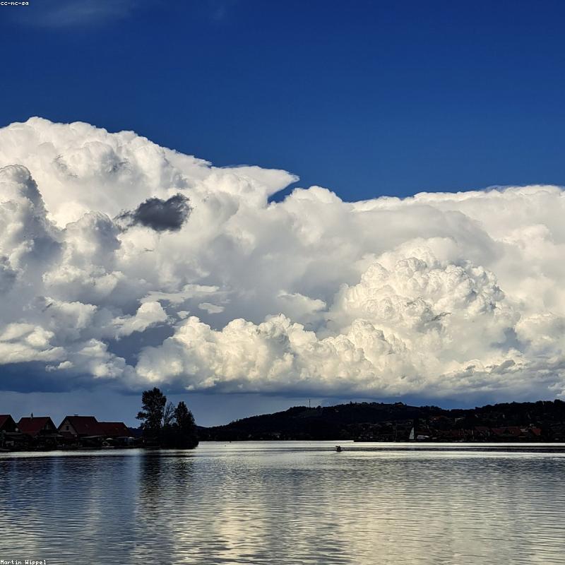 Rượu Vang Đỏ Château Margaux 2017