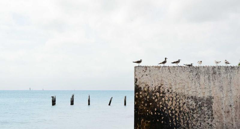 Tương lai ngành bảo hiểm sinh trắc học