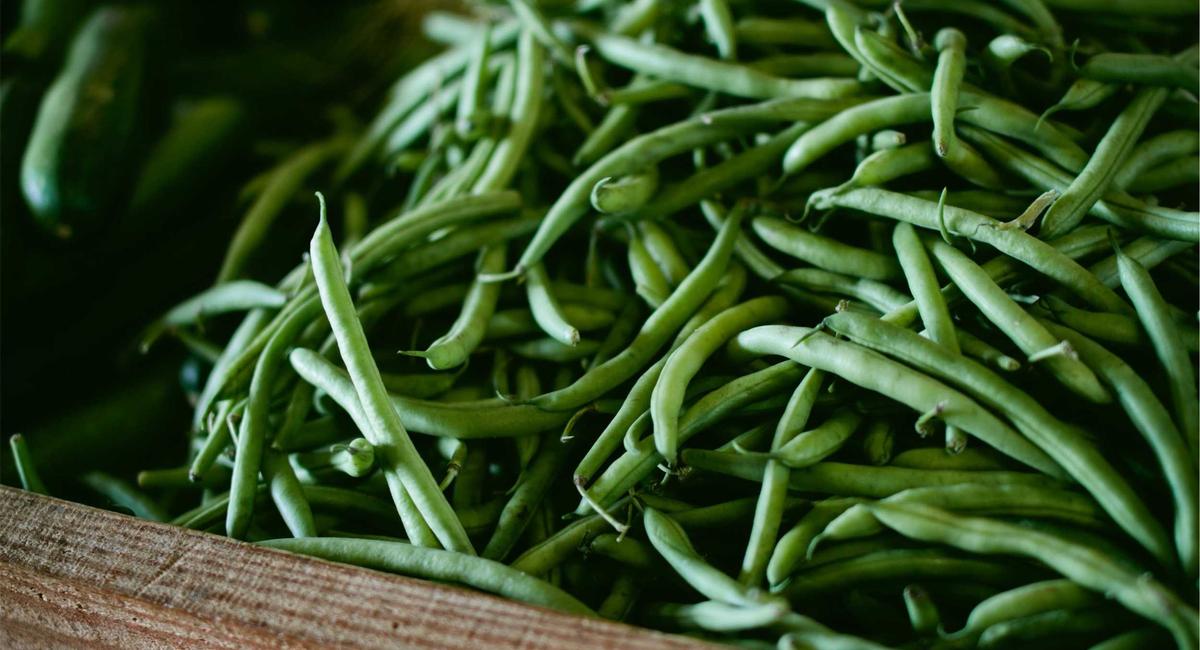 Công nghệ vi sinh 2026