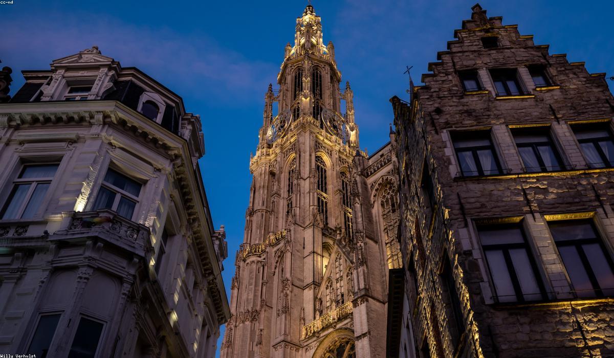 Curated moodboard images