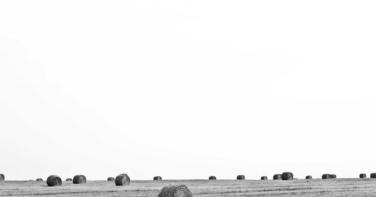 Chính thức: Thái Lan triển khai Visa Destination Thailand (DTV) 5 năm, thu hút hơn 20.000 Digital Nomad mỗi năm