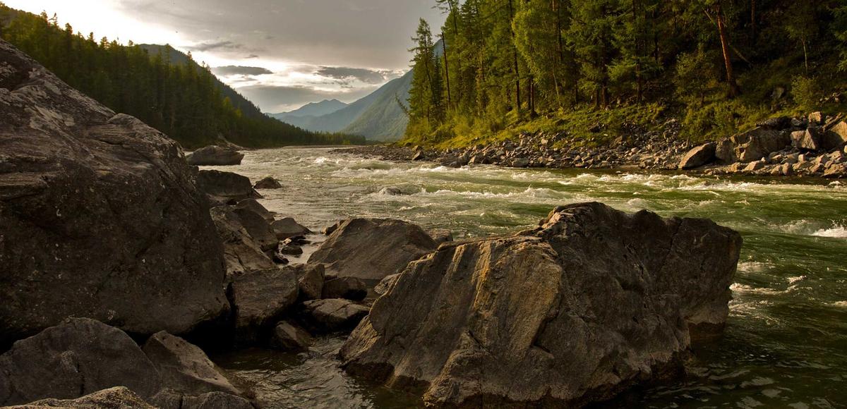 Implementation Roadmap 2026