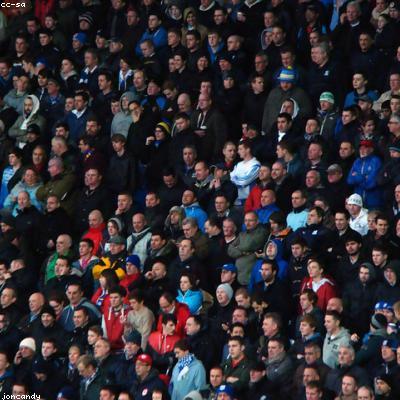 Dầu bảo dưỡng