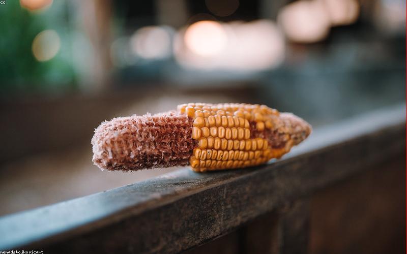 Thực phẩm giàu dinh dưỡng