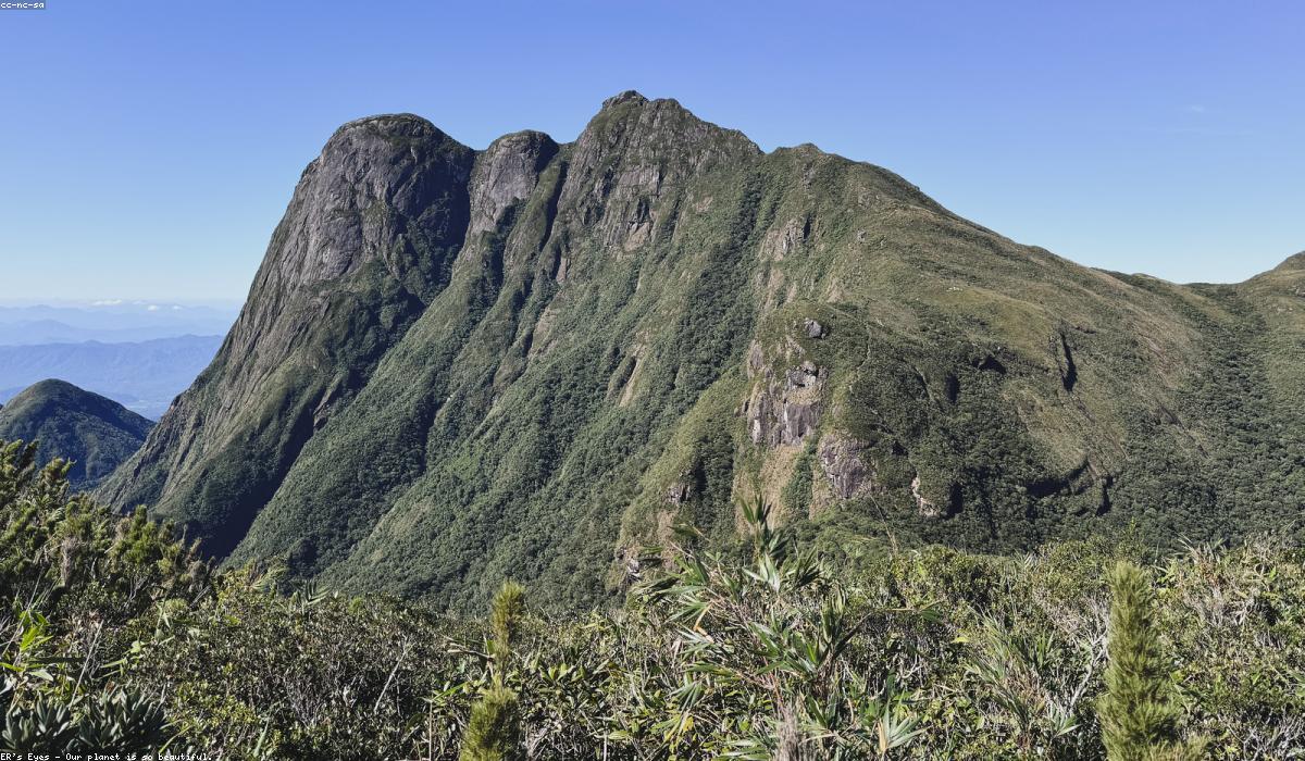 Vùng nguyên liệu của Lotus Herbal