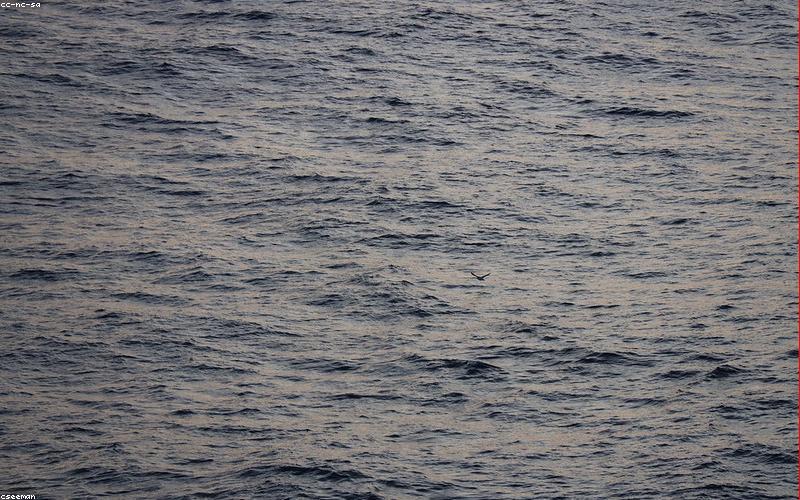 Hoàng hôn và quy tắc một phần ba