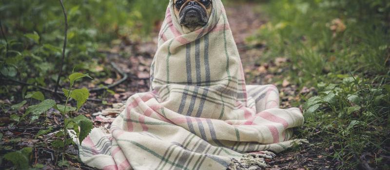 Kết thúc hành trình âm nhạc