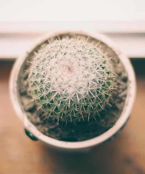 Lifestyle Editorial 1