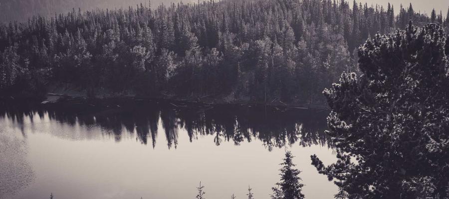 Diamond Vault Workshop