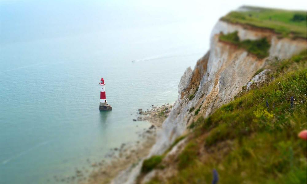 Trà thảo mộc tương lai