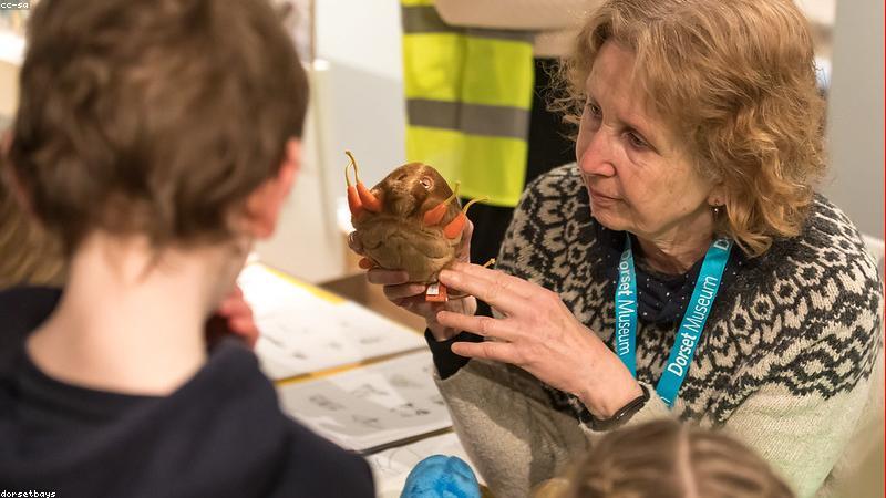 Dụng cụ thủ công sáng tạo