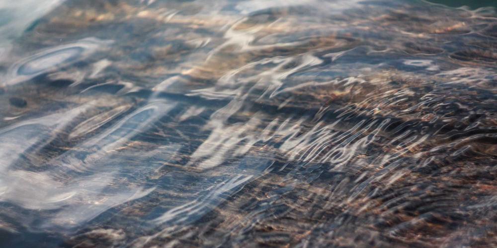 Sản xuất bao bì xanh