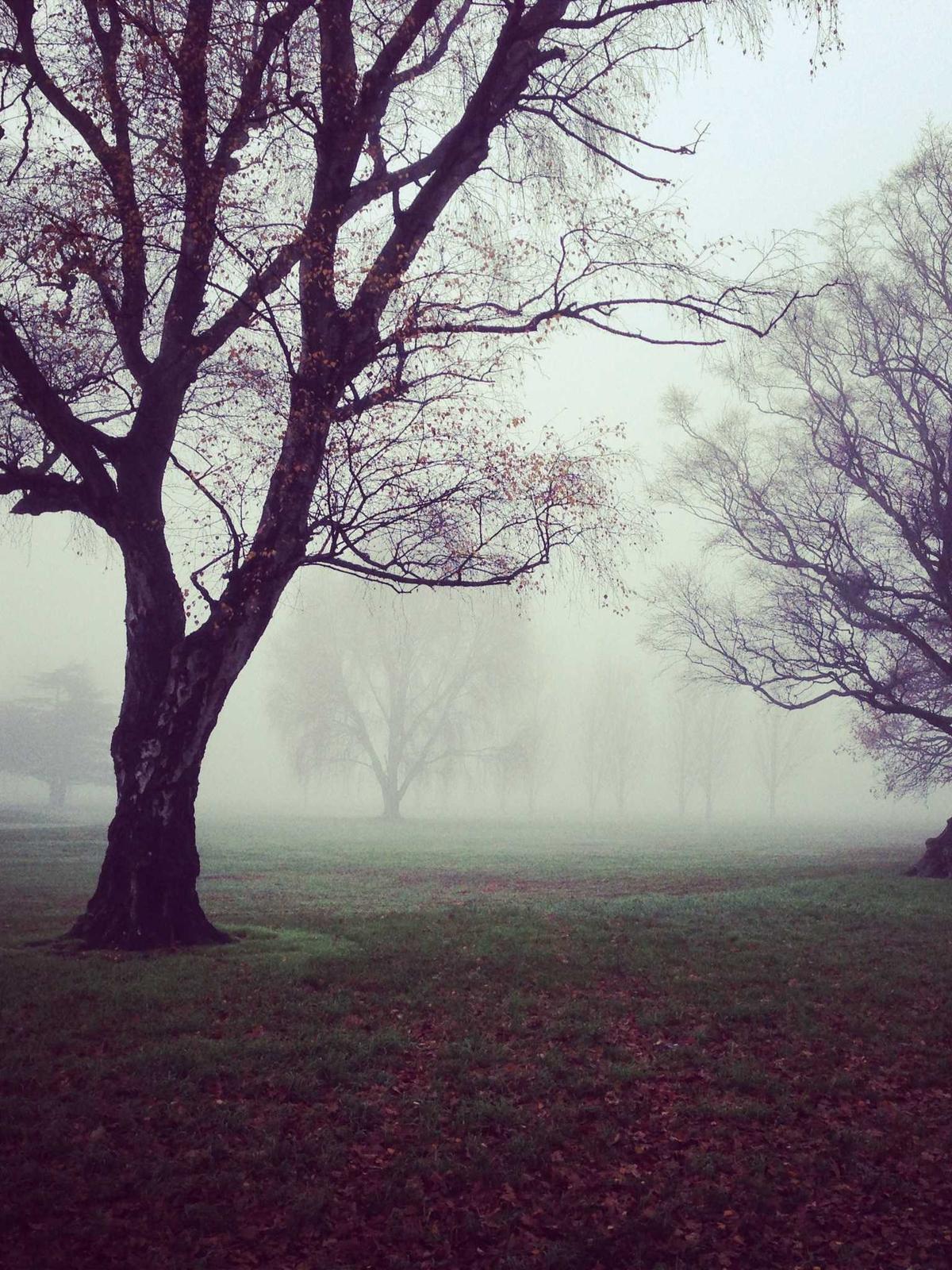 Streetwear 2026 concept