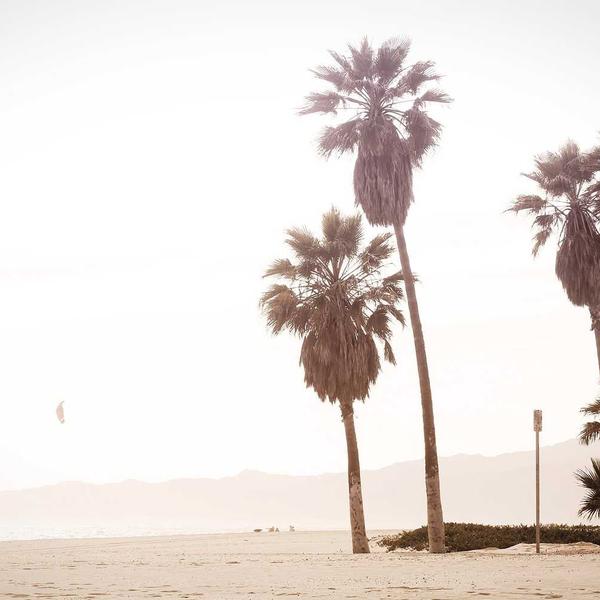 LifeStyle Bento 2026