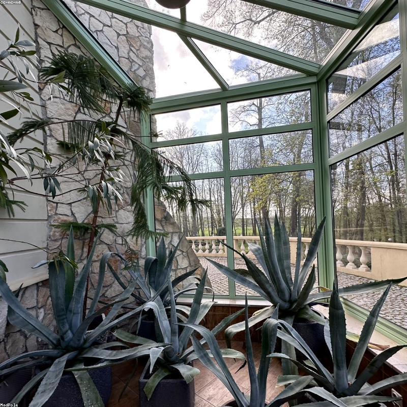 Đệm Ngủ Hình Thú Êm Ái Cho Thú Cưng