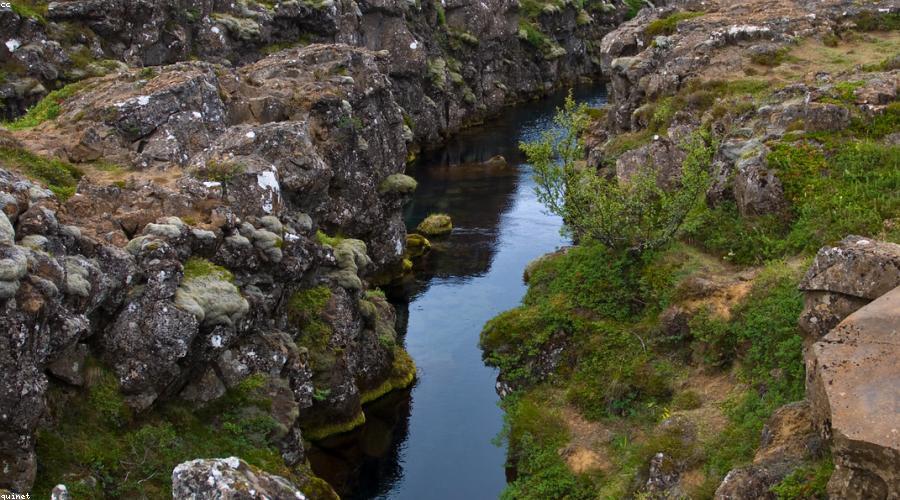 Artistic food presentation