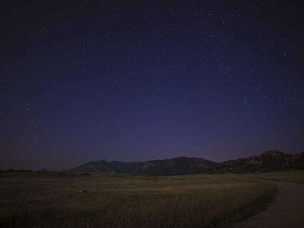 Sea Freight Case Study