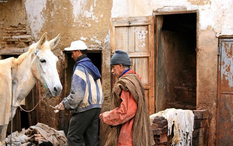 Vệ sinh đồ da bằng khăn mềm