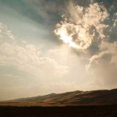 Grace Ngô Professional Auditor